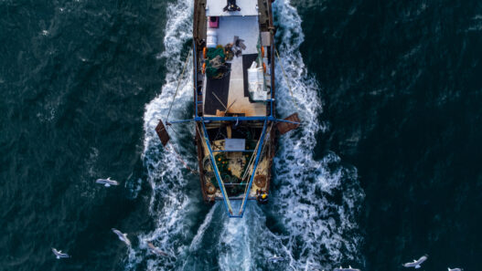 Fishing vessel boat floating in the blue sea, aerial top view from drone.