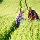 agriculture canada happy