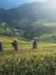 Masu samar da abinci na noma da kayan gona suna baje kolin sabbin kayan masarufi da fakitin kaya ga masu siyan B2B