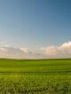 Sales halls Supplier EXPORT image2 Agriculture & Agrifood
