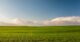 Sales halls Supplier EXPORT image2 Agriculture & Agrifood
