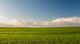 Sales halls Supplier EXPORT image2 Agriculture & Agrifood