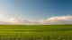 Sales halls Supplier EXPORT image2 Agriculture & Agrifood