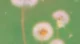 Import - export -B2B image