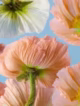 ImageToStl.com admin ajax